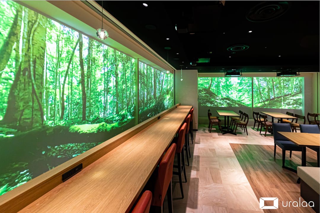 北海道の大自然に癒される─没入型のデジタル森林浴®️空間「uralaa park haneda」が羽田空港で提供開始