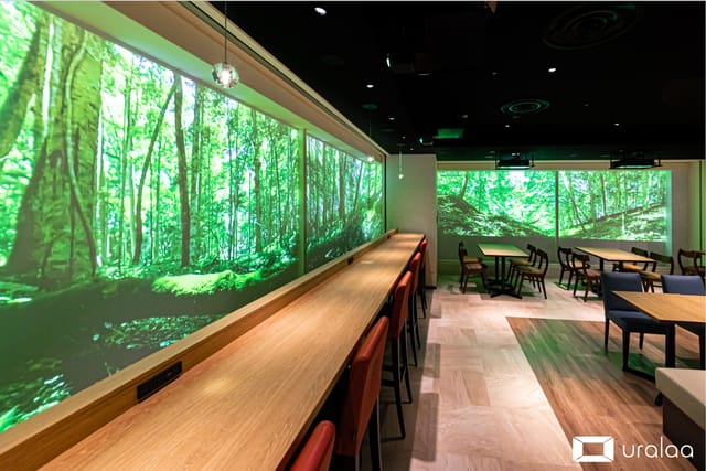 北海道の大自然に癒される─没入型のデジタル森林浴®️空間「uralaa park haneda」が羽田空港で提供開始