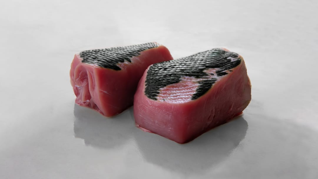 最先端バイオテクノロジーで再現した“龍の肉”