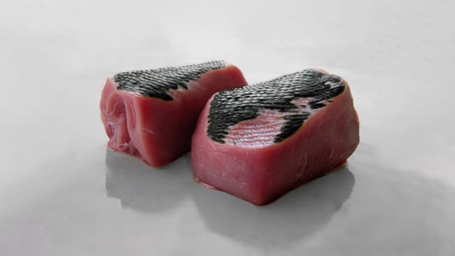 最先端バイオテクノロジーで再現した“龍の肉”