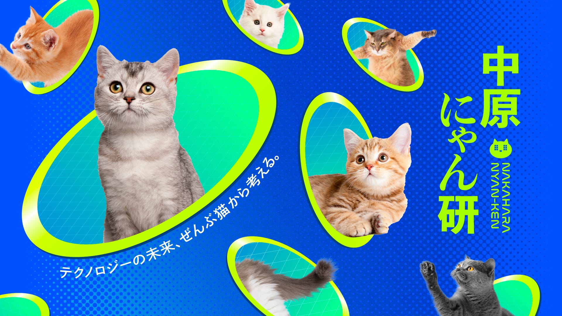 テクノロジーを“猫”で解釈してアイデアを実装するプロジェクト「中原にゃん研」が始動 ─3/18・3/19に下北沢にて初回展示を開催